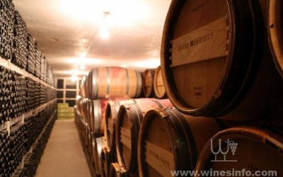 宁夏葡萄酒持续扩大出口欧洲市场